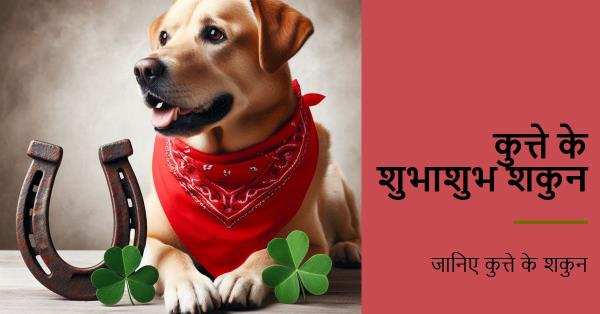 कुत्ते के द्वारा शुभाशुभ शकुन विचारने का नियम