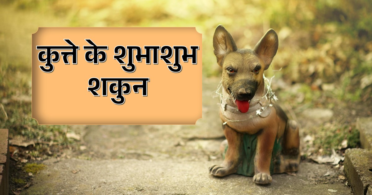 कुत्ते के द्वारा शुभाशुभ शकुन विचारने का नियम
