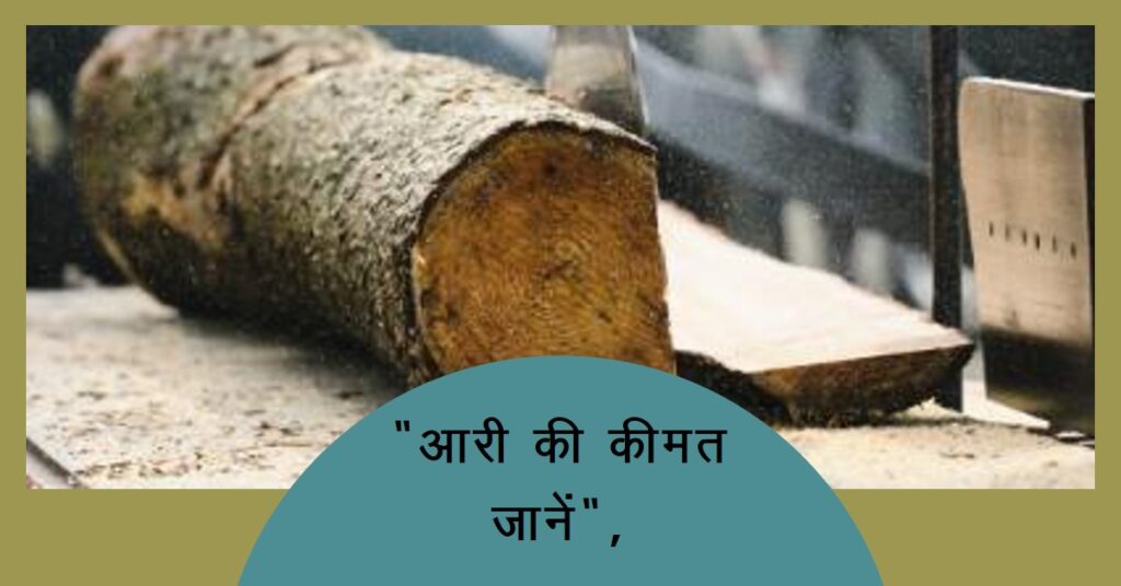 आरी की कीमत